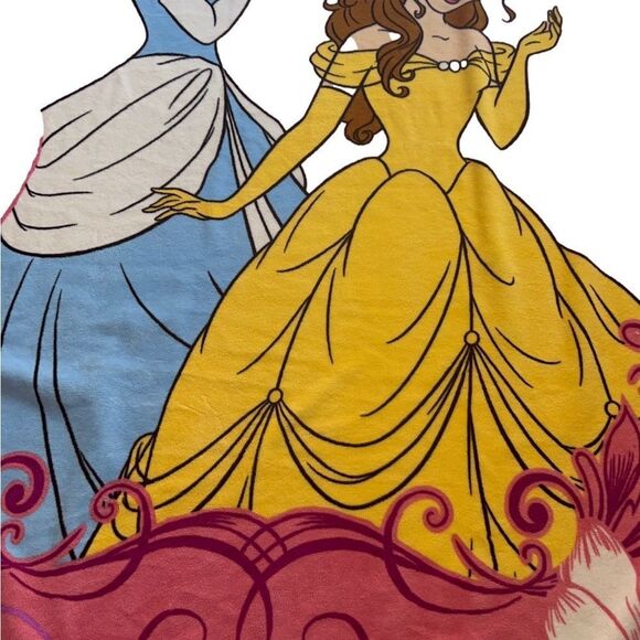 Disney Princess Cinderella and Belle Micro Raschel Twin Blanket; 62" x 90" - Picture 4 of 14
